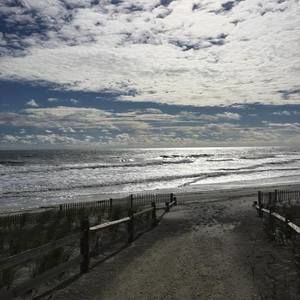 Meet your Posher, Lois